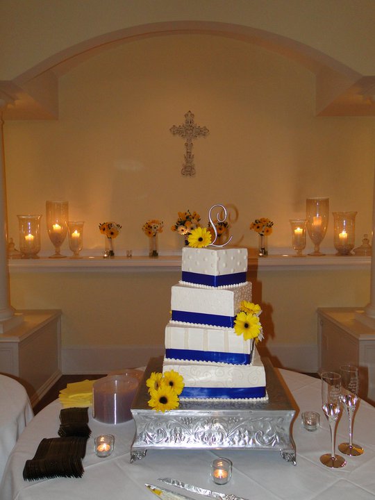 225583_125029170911182_2476971_n