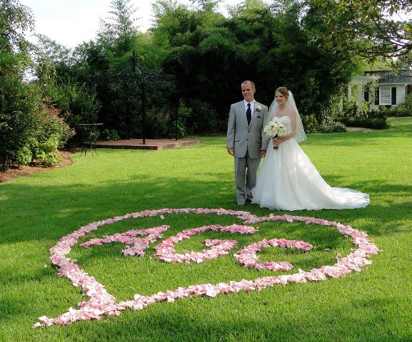 267224_235102859861277_1548106_n