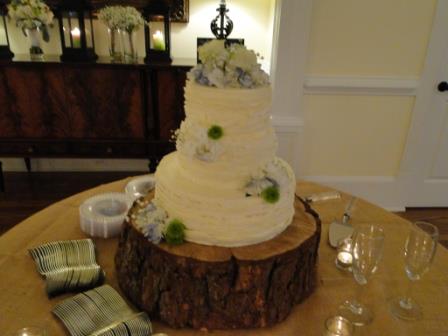 523597_381350855279011_1304244673_n[1] - Copy