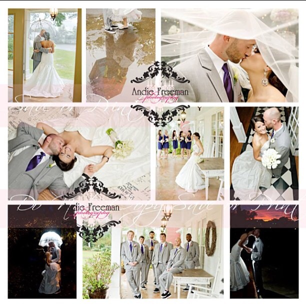 Thompson House and Gardens 133