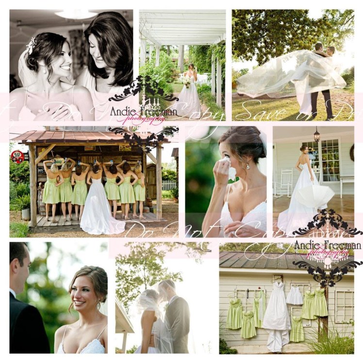 Thompson House and Gardens 151